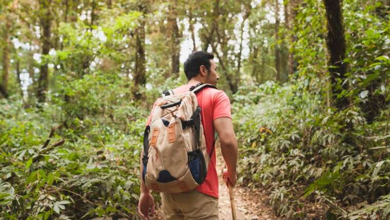 What To Wear When Hiking? | 10 Essential Gear For Every Trail