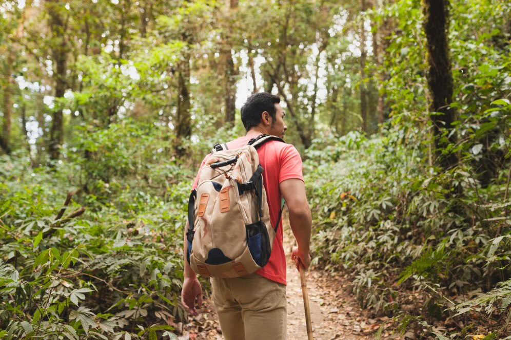 What To Wear When Hiking? | 10 Essential Gear For Every Trail